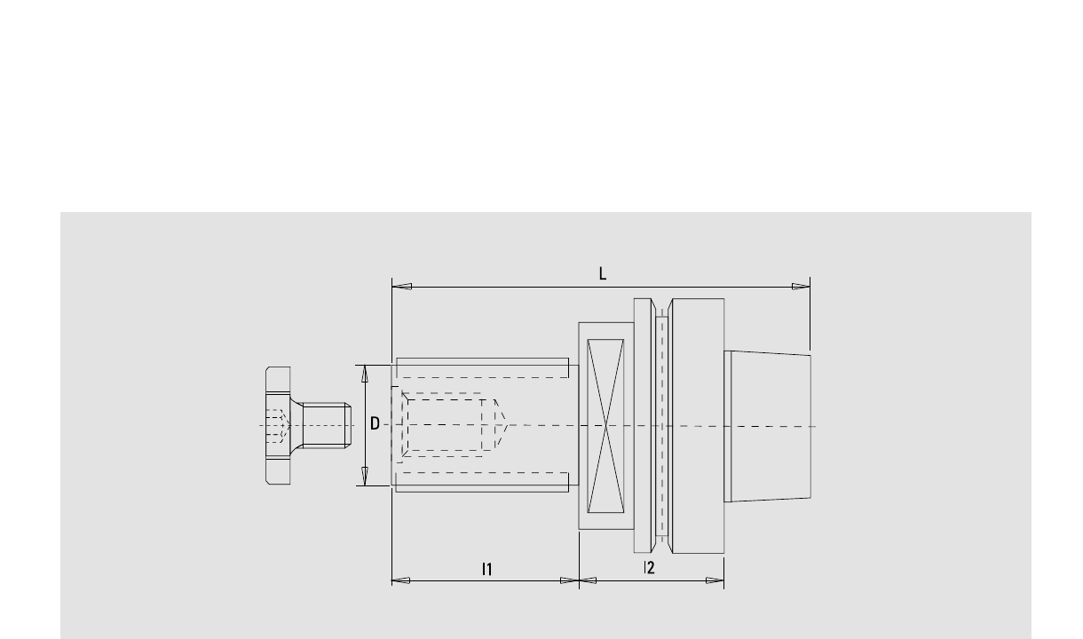 Technische Zeichnung GUHDO 6376 Fräsdorn HSK 63F – Maße d, l1, l2 und L